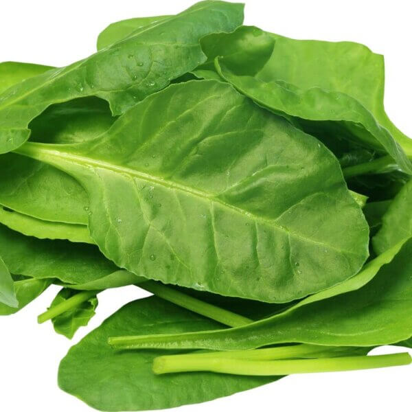 NL's Hydroponic Spinach-500gms