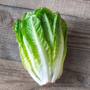 NL’s Hydroponic Lettuce Romaine- 150gms