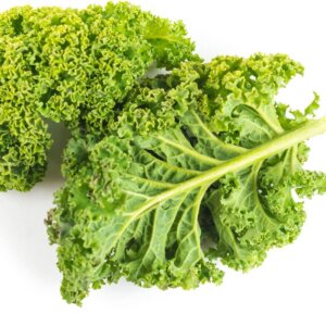 NL’s Hydroponic Curly Kale
