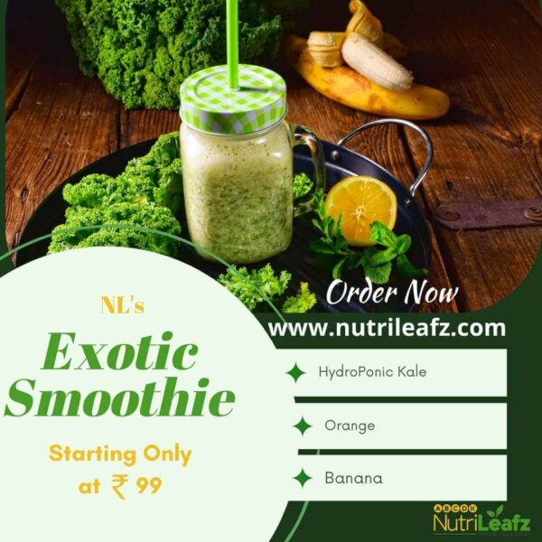 NL's Exotic Smoothie (150 ML)