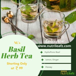NL’s Basil Herb Tea (150 ML)