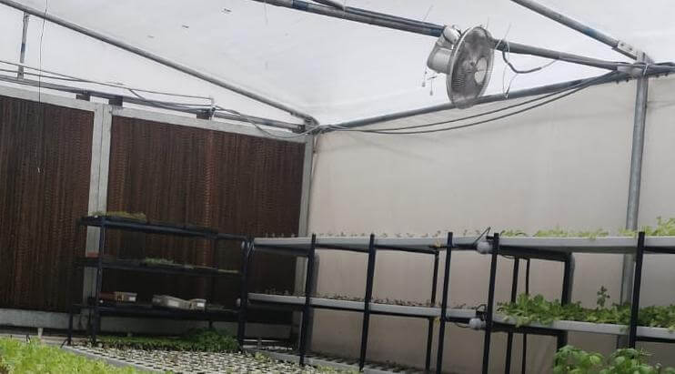 Read more about the article Polyhouse temperature control