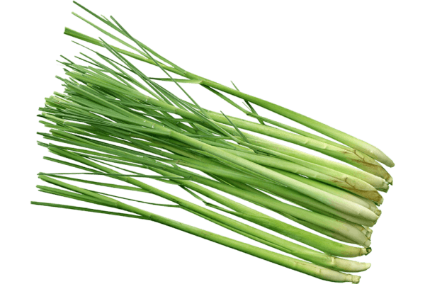 Lemongrass