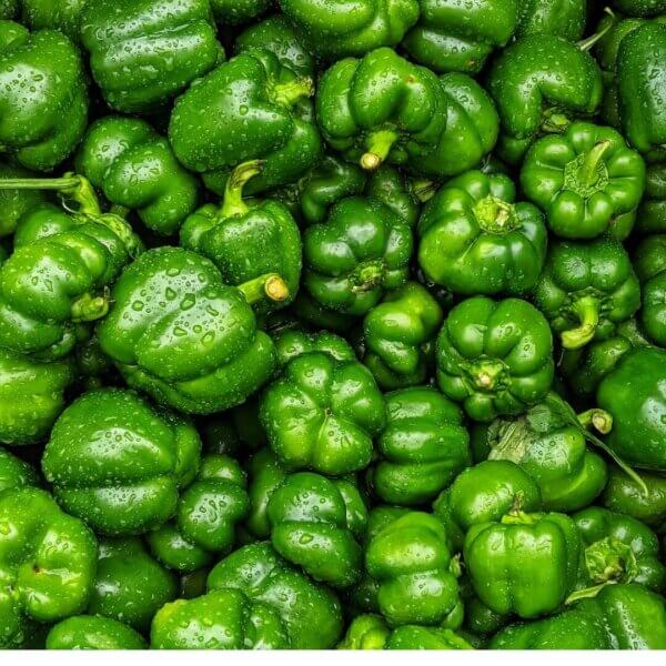 NL’s Hydroponic Capsicum