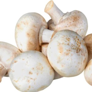 NL’s Mushroom || Button Mushroom || Fresh || Direct from Farm