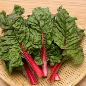 NL’s Hydroponic Swiss Chard