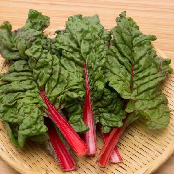 NL’s Hydroponic Swiss Chard