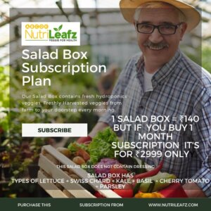 Salad Box Subscription Plan (without dressing)|| Hydroponic Veggies