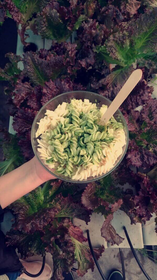 NL's Pesto Pasta
